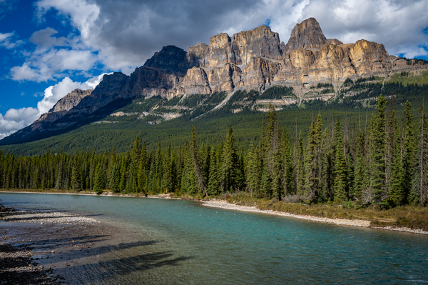 Richard McGuire - Castle Mountain, Alberta