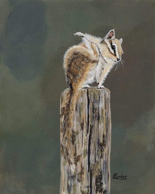 Claudia Punter - Have an Itch?
