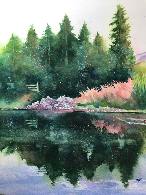 Donna Goett - Reflections